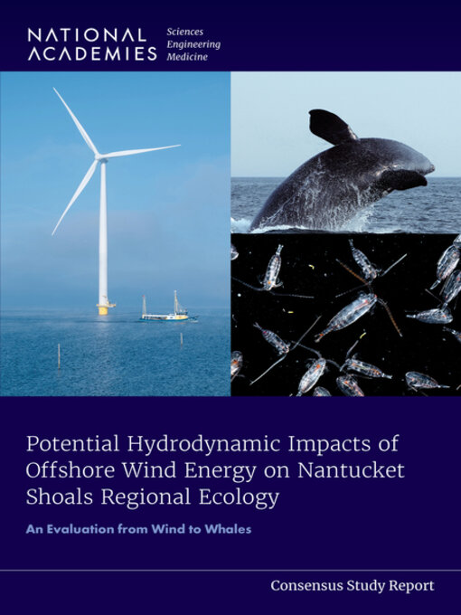 Title details for Potential Hydrodynamic Impacts of Offshore Wind Energy on Nantucket Shoals Regional Ecology by National Academies of Sciences, Engineering, and Medicine - Available